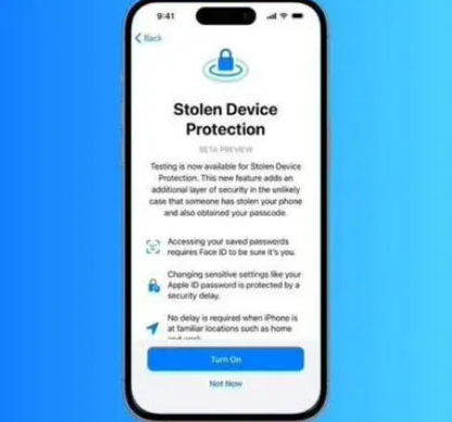 柳城苹果授权维修店分享被盗设备保护功能开启方法 