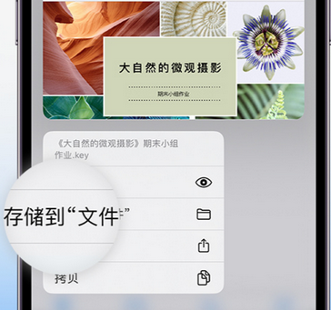 柳城apple维修中心分享iPhone文件应用中存储和找到下载文件