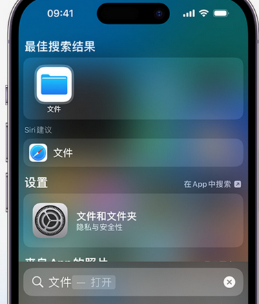 柳城apple维修中心分享iPhone文件应用中存储和找到下载文件 