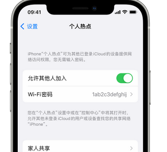 柳城apple服务站点分享iPhone上个人热点丢失了怎么办