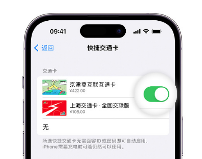 柳城apple维修点分享iPhone上更换Apple Pay快捷交通卡手绘卡面 