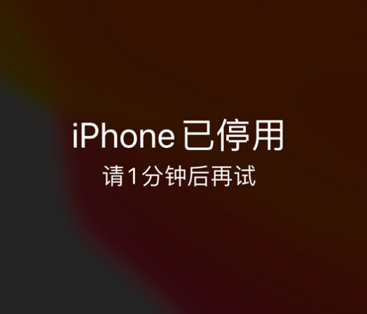 柳城苹果手机维修分享:iPhone 显示“不可用”或“已停用”怎么办？还能保留数据吗？ 