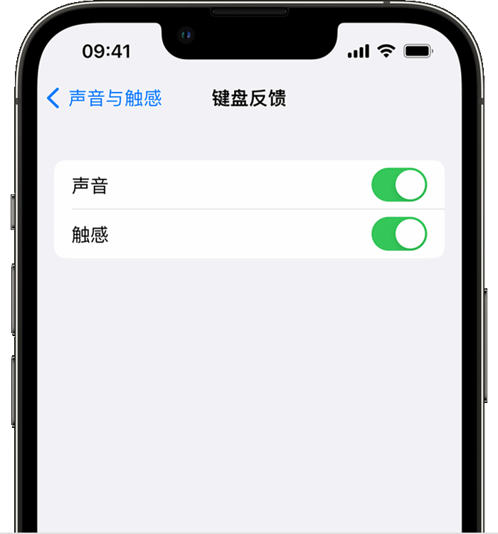 柳城苹果14维修店分享如何在 iPhone 14 机型中使用触感键盘 