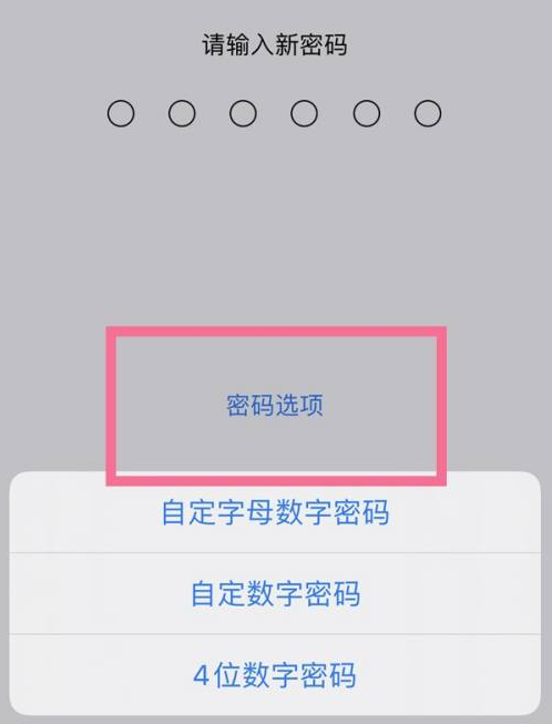 柳城苹果14维修分享iPhone 14plus设置密码的方法 