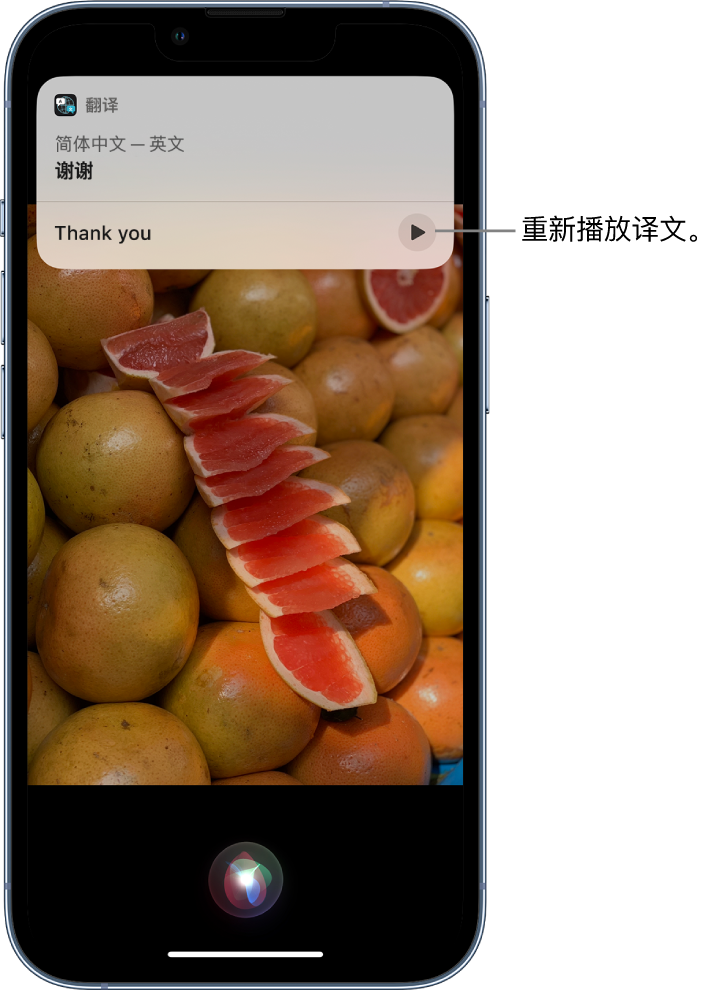 柳城苹果14维修分享 iPhone 14 机型中使用 Siri：了解 Siri 能帮你做什么 