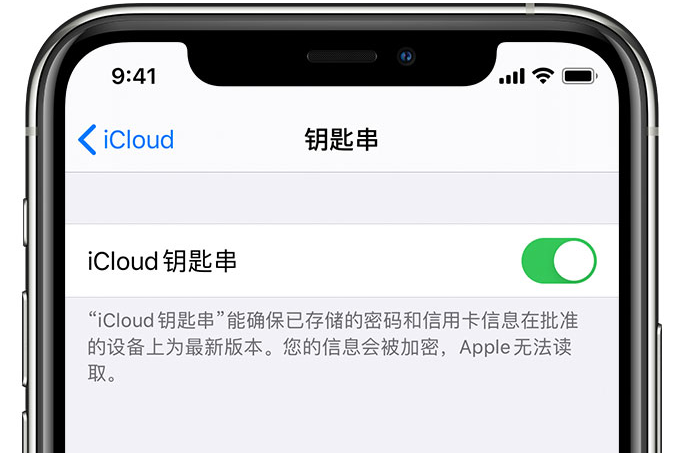 柳城苹果手机维修分享在 iPhone 上开启 iCloud 钥匙串之后会储存哪些信息 