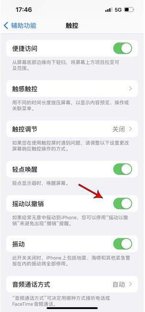 柳城苹果手机维修分享iPhone手机如何设置摇一摇删除文字 